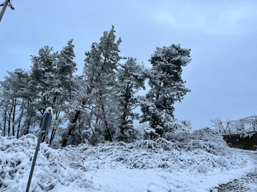 Shqipëria nën darën e acarit, i gjithë vendi zbardhet nga dëbora. Meteorologia flet për motin në ditët në vijim