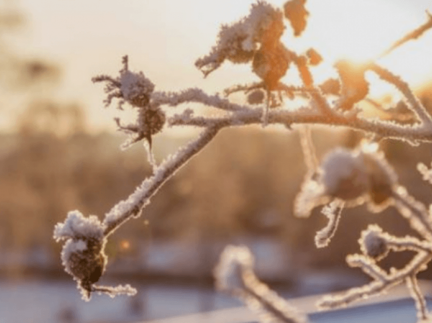 Gjatë ditëve në vijim, temperaturat në Maqedoni do të jenë në ngritje