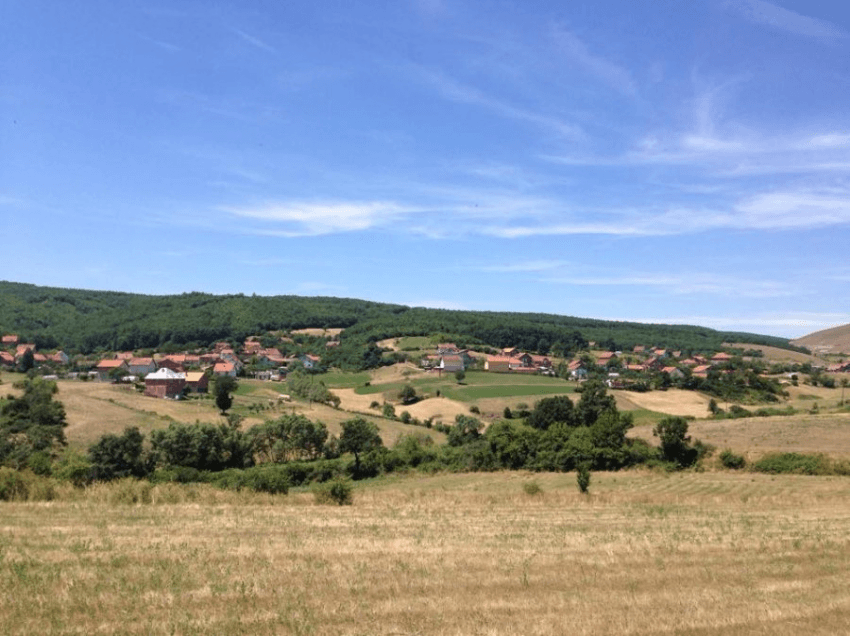 Një femër në Lipjan tenton të vetëvritet në pyll