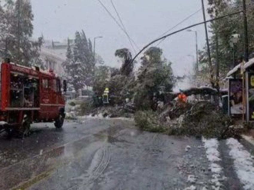 Dy të vdekur nga stuhia “Medea” në Greqi