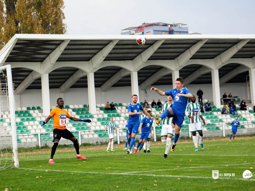 Drita ndaj Trepçës ’89, Drenica – Besa