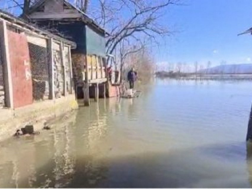 Shkodër/ 1140 hektarë tokë e përmbytur,10 shtëpi në Obot kanë prezencë uji në oborr