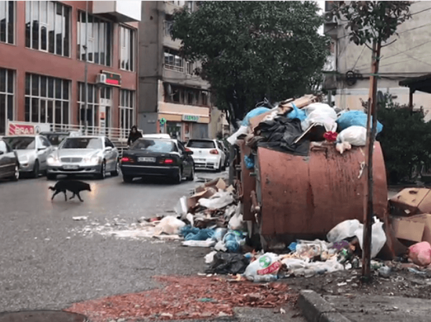 Shkodra pushtohet nga plehrat/ Ademi: Jemi para një katastrofe mjedisore