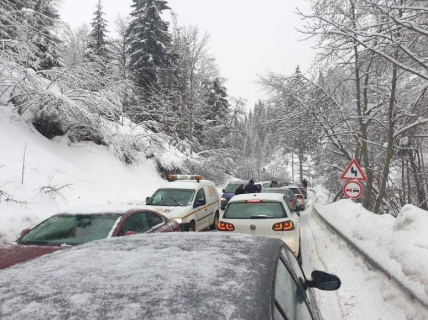 Kolona e veturave që u krijua sot në Bogë