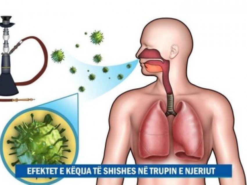 E tmerrshme çka i ndodh trupit kur pini “shisha”