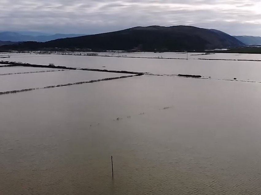 Reshjet e shiut, rritet niveli i ujit në Drin dhe liqenin e Shkodrës, shtohen prurjet edhe në lumin Kir