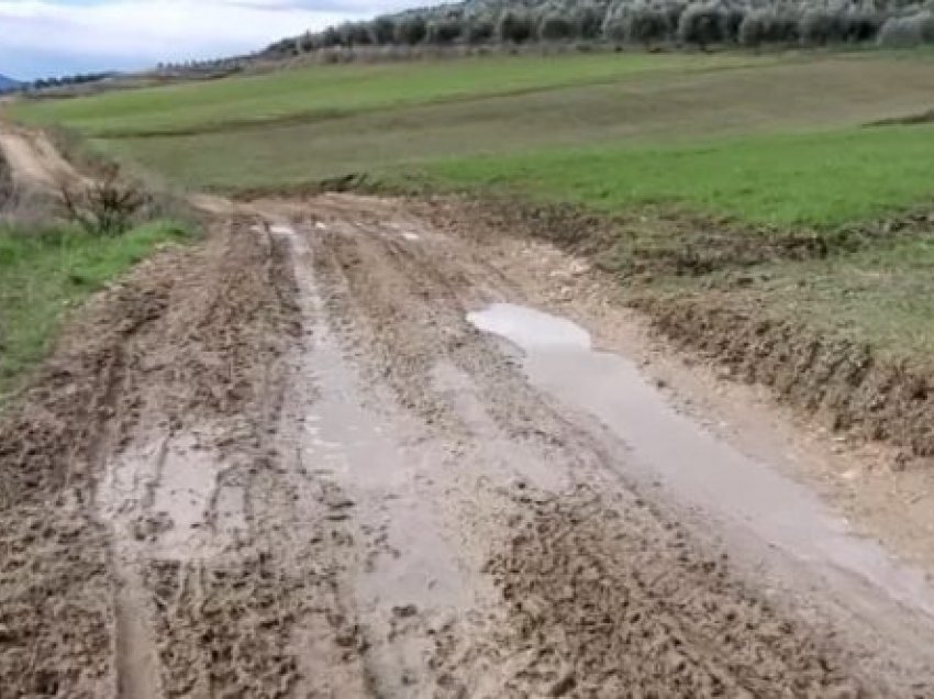 Bashkia e Fierit harron fshatrat, Kreshpani i pakalueshëm nga balta