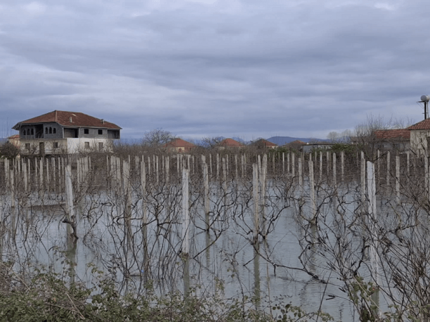 Stuhi në Shkodër/ Uji rikthehet në rrugët e Obotit, rriten prurjet edhe në 3 hidrocentralet e Drinit