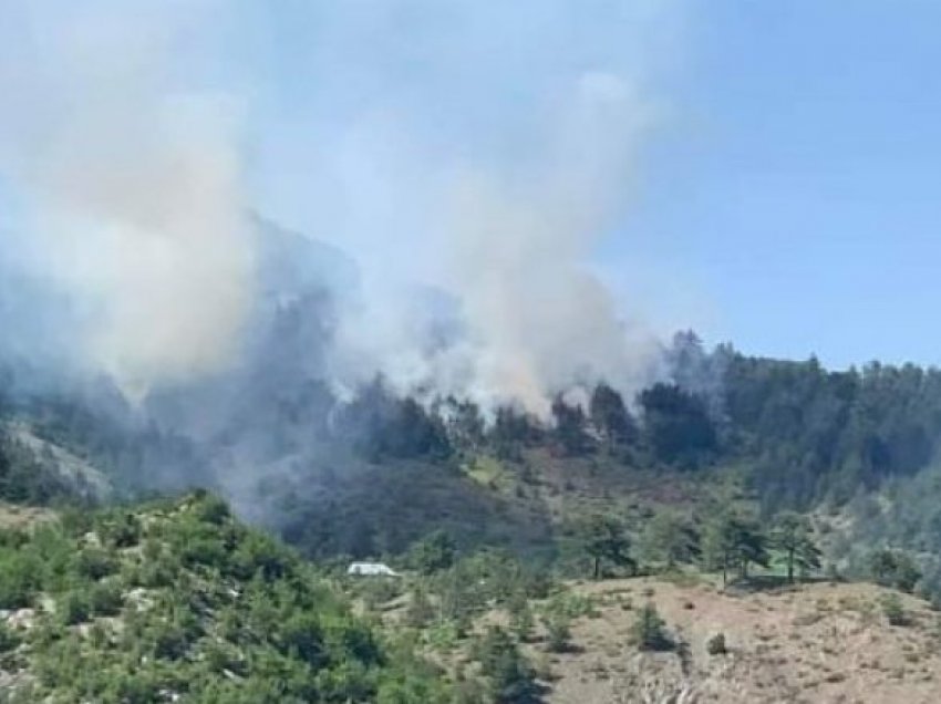 Riaktivizohet zjarri në Korçë, digjet një sipërfaqe e madhe me pisha