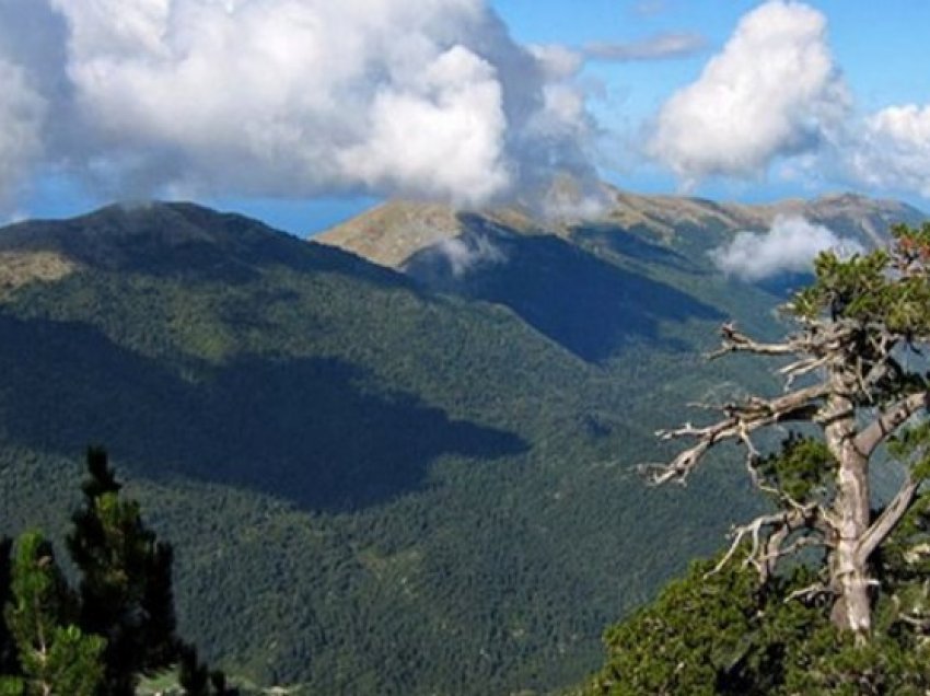 Humbën në pyllin e Llogarasë, çfarë ndodhi me fatin e dy turistëve të huaj