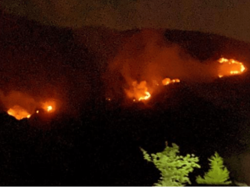 Zjarr në Llogara, këngëtari Alban Skënderaj apel autoriteteve