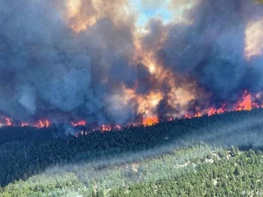 Bullgaria përballet me temperatura të larta dhe zjarre