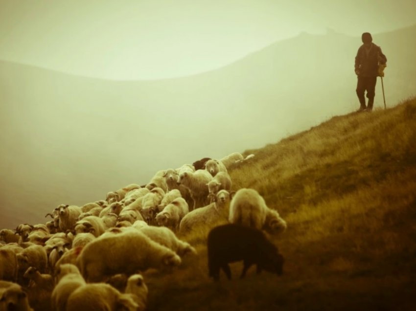 Babë e bir nga Shqipëria rrahin me shufra hekuri në kokë bariun në Greqi