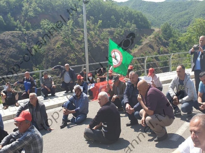 Kompania shkurton 20 punonjës, organizohet protestë/ Sindikata: U premtua që s’do hiqej asnjë specialist