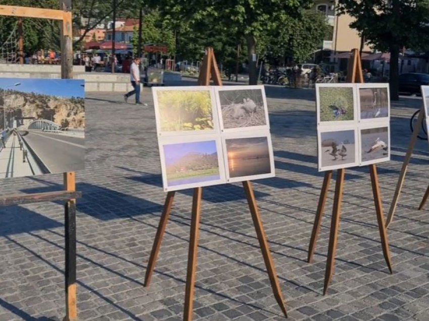 Shoqëria civile në mbrojtje të mjedisit