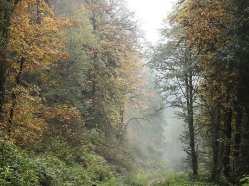 Banka Biologjike e Britanisë premton të mbrojë biodiversitetin e planetit