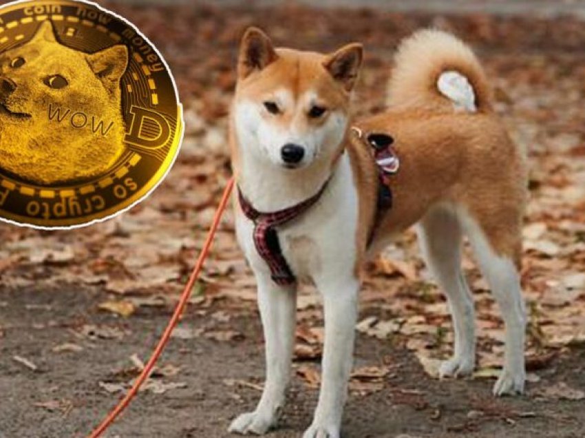 Mallkimi i maskotës së Dogecoin