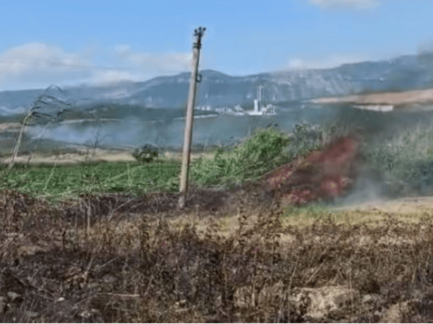 Zjarr në fshatin Borizanë, era përhap flakët me shpejtësi