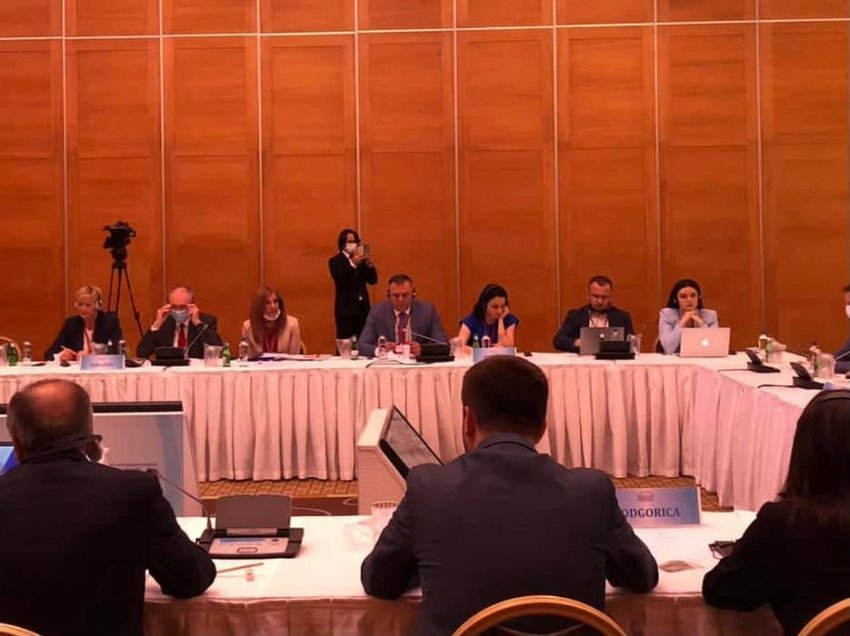 Bajqinovci pjesë e Sesionit Plenar të AP të SEECP-së, tregon temat kyçe