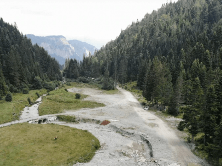 AI kërkon nga Kelkos të kthejë mbrapsht paditë ndaj Loshajt dhe Gacaferit