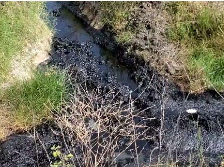 ‘Po na sëmur’/ Banorët e Zharrëzës të shqetësuar nga derdhja e mbetjeve hidrokarbure, kërkojnë zgjidhje