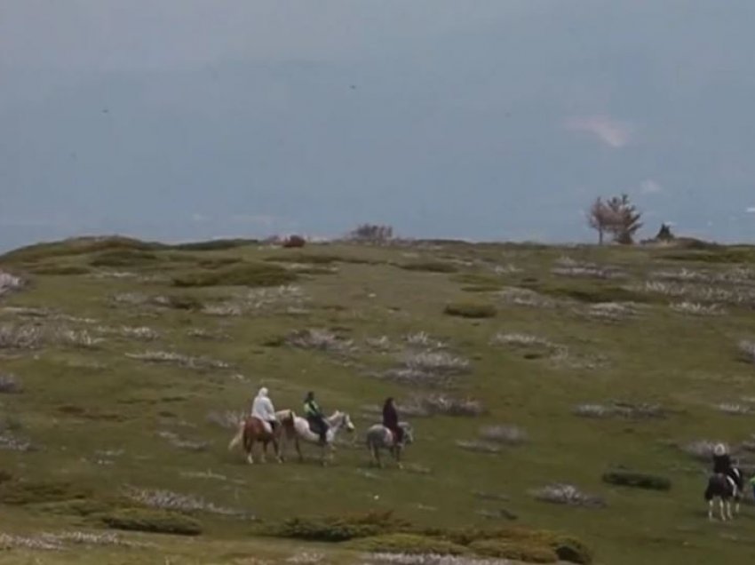 Maqedonia e Veriut shpalli Park Kombëtar një pjesë të Maleve të Sharrit