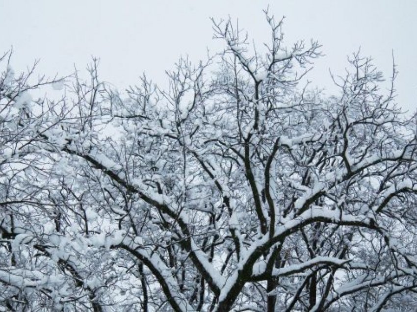 Rikthehet i ftohti, fundjavë me shi dhe borë