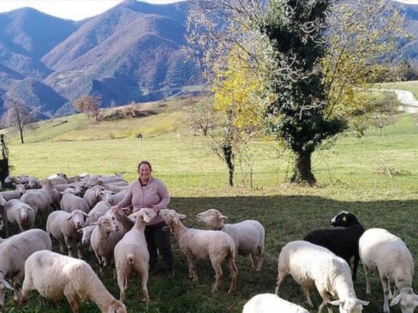 Shkollë për baresha në Spanjë, që të ndalet shpopullimi i fshatrave