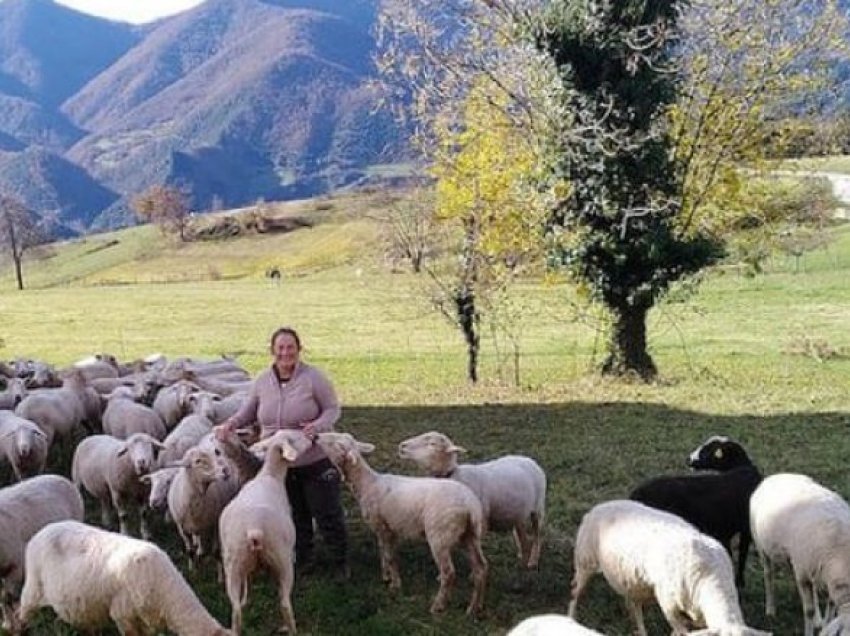 Shkollë për baresha në fshatrat e Spanjës