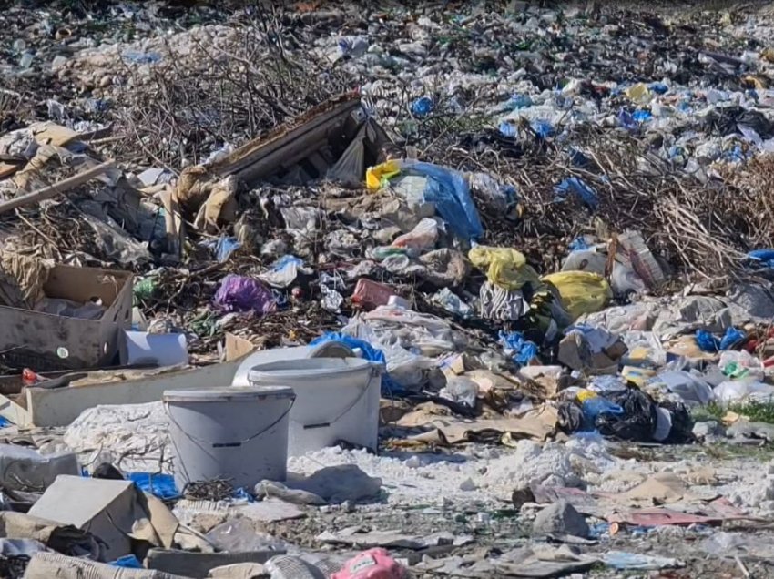 Tokat mbulohen nga plehrat/ I hedhin bizneset nga Shkodra dhe Malësia e Madhe