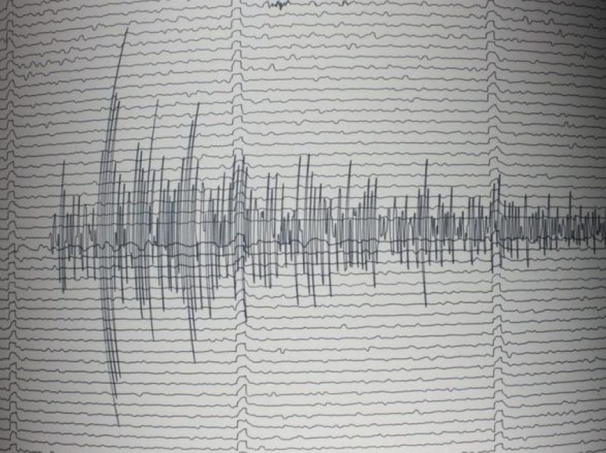 Një tërmet prej 4.8 shkallë të Rihterit godet Japoninë