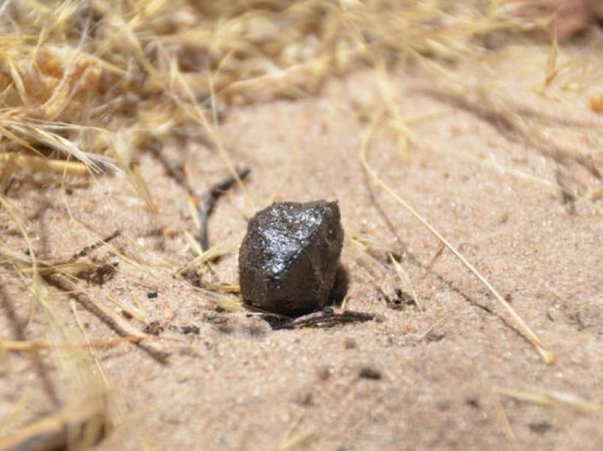 Zbulohet prej nga erdhi asteroidi që udhëtoi për 23 milionë vjet para se të zbriste në Tokë