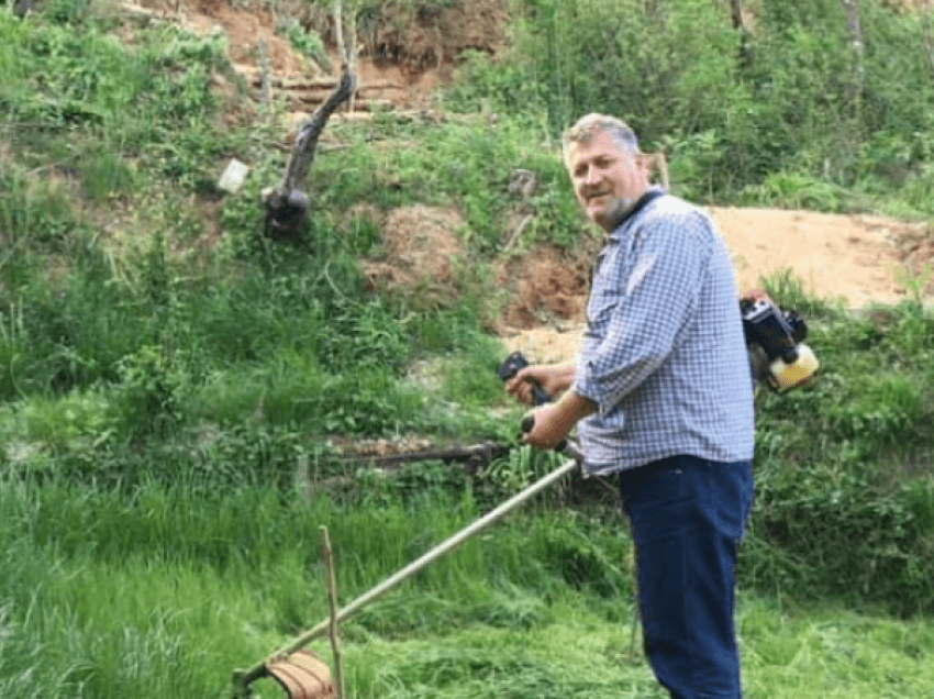 Zafa e lë kibernetikën, i kthehet vendlindjes