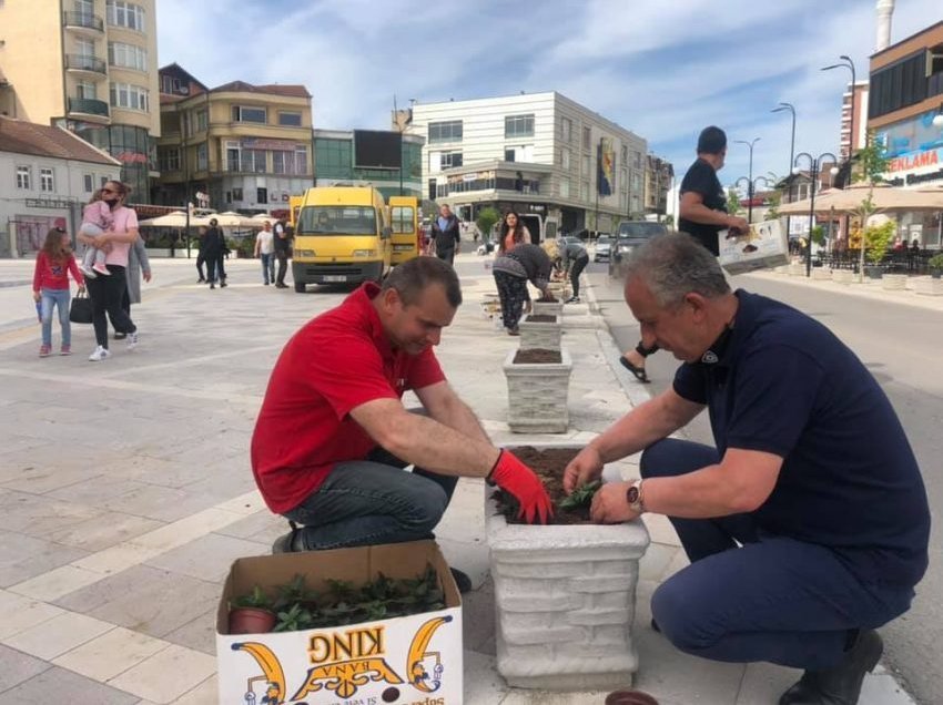 Muharremaj angazhohet në mbjelljen e luleve në qytet