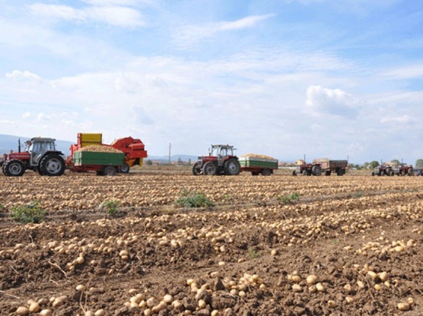 Lansohet AgromarketKS, treg online për fermerët e Kosovës