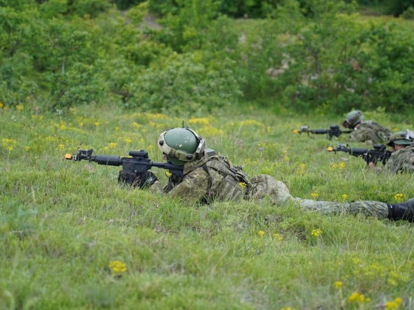 Paralajmërimi për Rusinë e Serbinë, ushtrimet “Defender Europe 21” tmerri më i madh për armiqtë e shqiptarëve