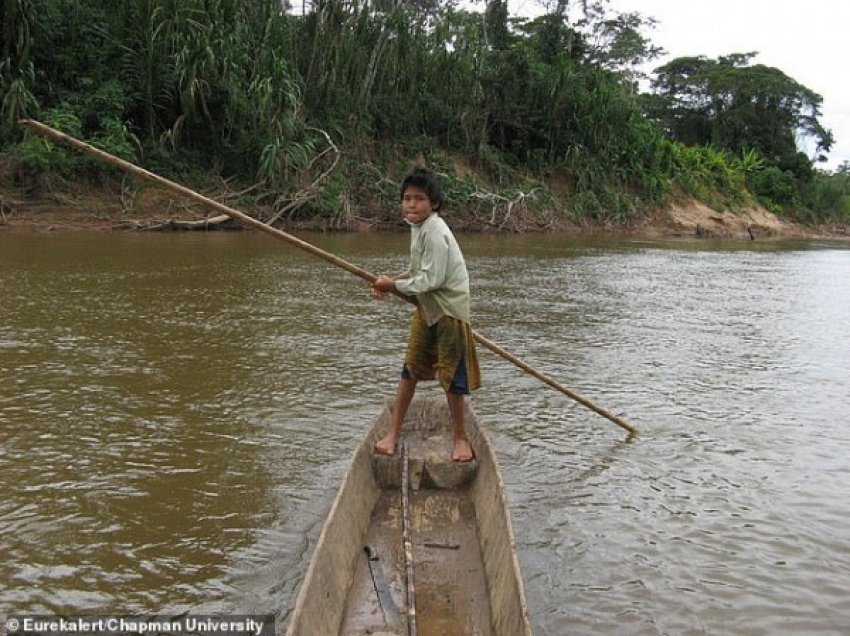 ​Fisi amazonas me “zemrat më të shëndetshme” mund të mbajë çelësin për ngadalësimin e plakjes