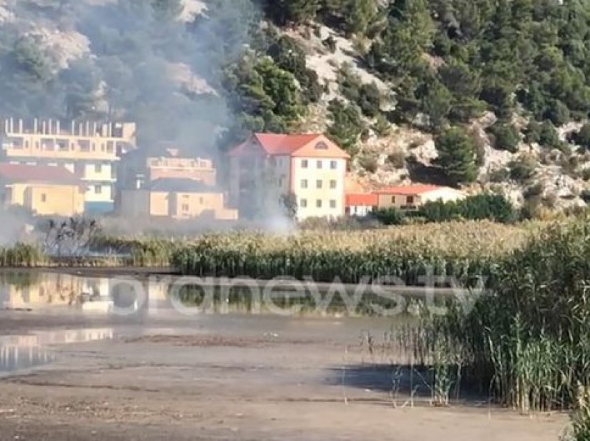 Merr flakë bimësia, zjarri rrethon banesat në Shëngjin