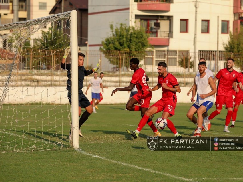 “Macja e zezë” e Partizanit