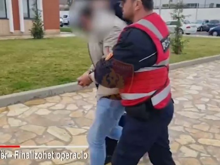 Shkodër/ U kapën duke transportuar mbi 96 kg kanabis, arrestohen 4 trafikantët