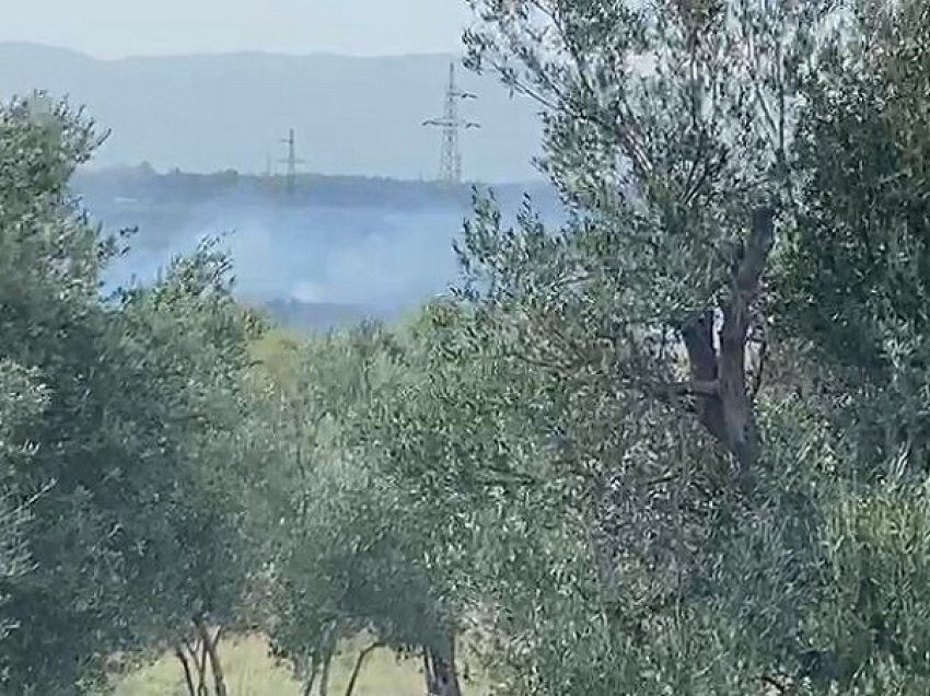 Vlorë/ Zjarr në afërsi të fshatit Nartë, dyshohet i qëllimshëm