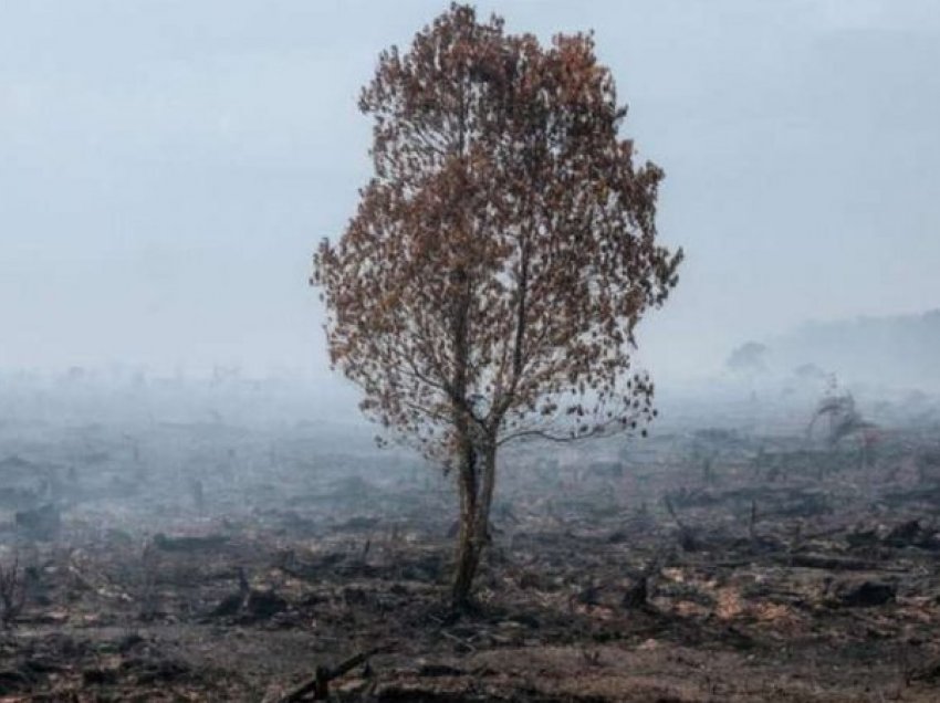 Bota pritet të jetë 2.6 gradë celsius më e ngrohtë