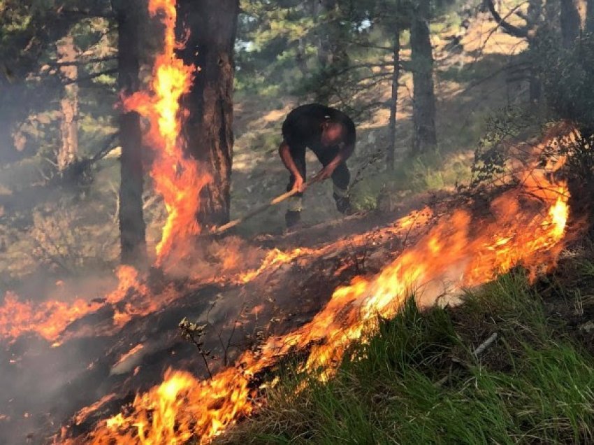 ​Pyjet përfshihen nga zjarr, rrezikohen banorët e Restelicës