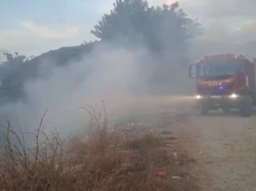 Zjarr në plantacionet me ullinj në lagjen ‘Kala’ të Beratit, dyshohet i qëllimshëm, në zonë gjenden…