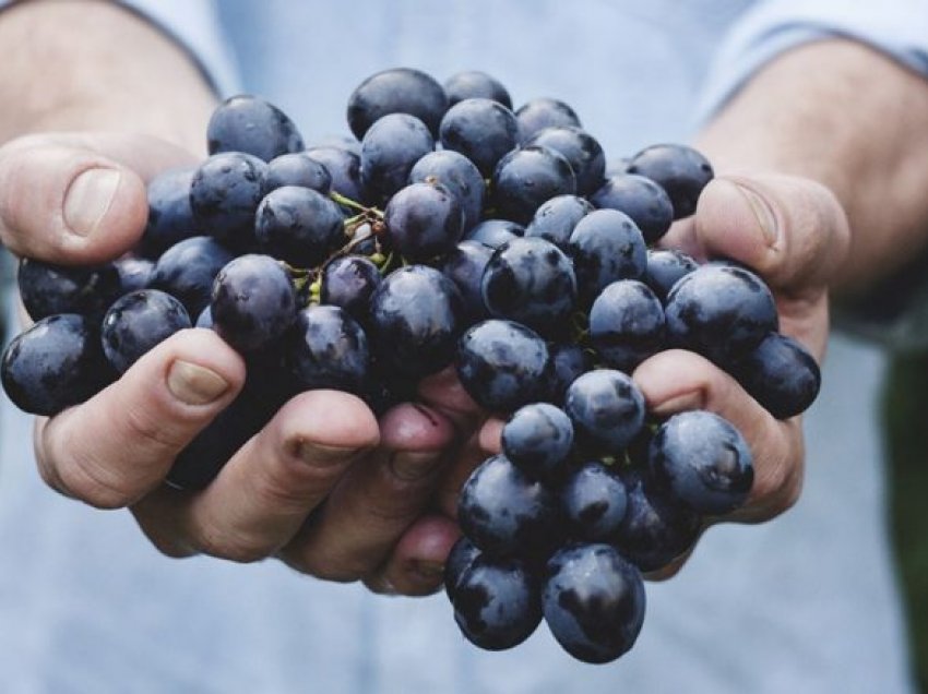 Hani më shumë nga ky frut popullor për të shëruar zorrët dhe ulur kolesterolin