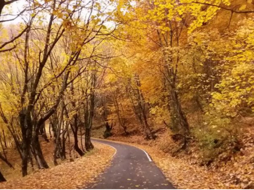 Ulen sërish temperaturat, si parashikohet moti sot