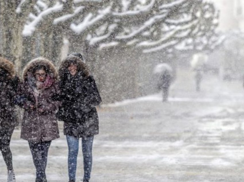 I ftohti siberian vjen javën tjetër në Shqipëri