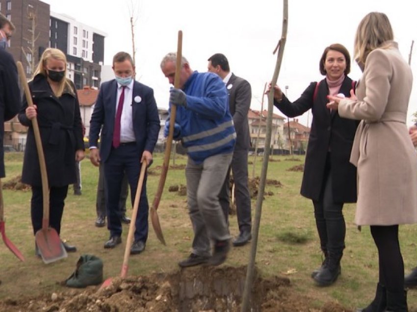 ​Mbillen 140 drunjë në Parkun Memorial në Velani