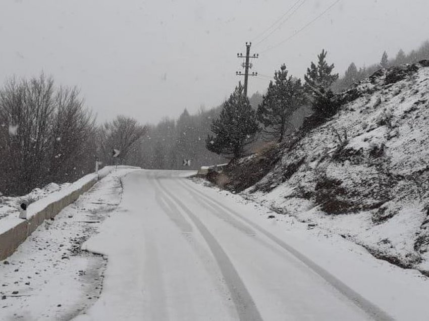 Nisin reshjet e borës, zbardhet Dardha