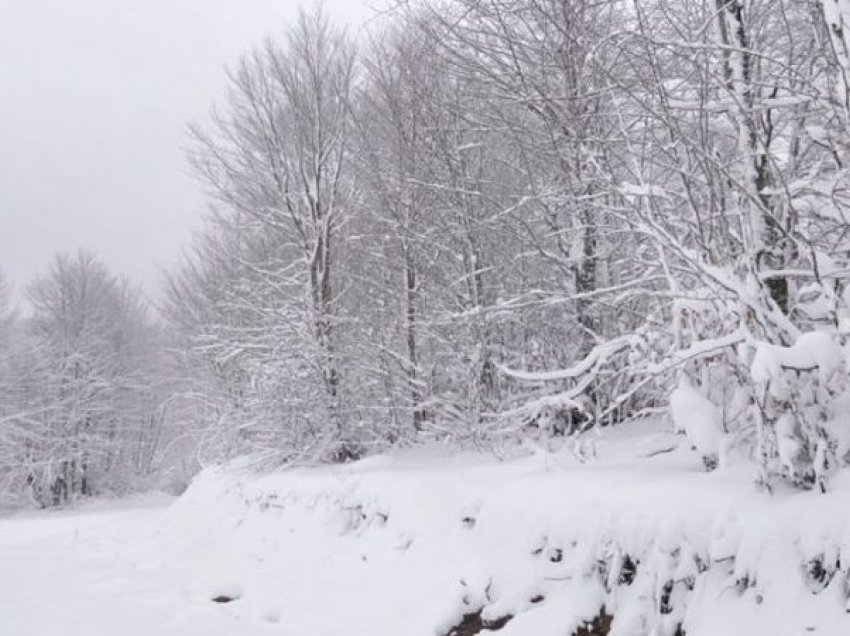 Ja sa pritet të zgjasë i ftohti polar në Shqipëri